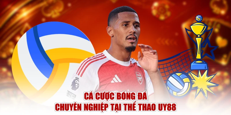 Cá cược bóng đá chuyên nghiệp tại thể thao UY88